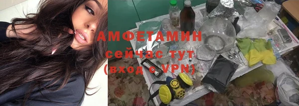 соль ск Алзамай
