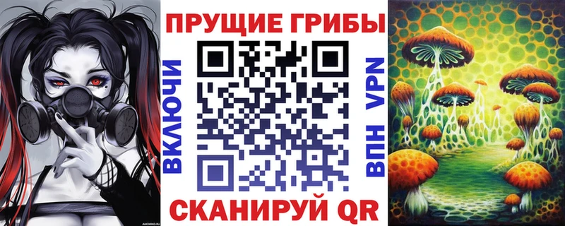 это официальный сайт  Лаишево  Псилоцибиновые грибы мухоморы 